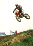 p2.jpg