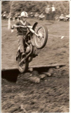 f1.jpg